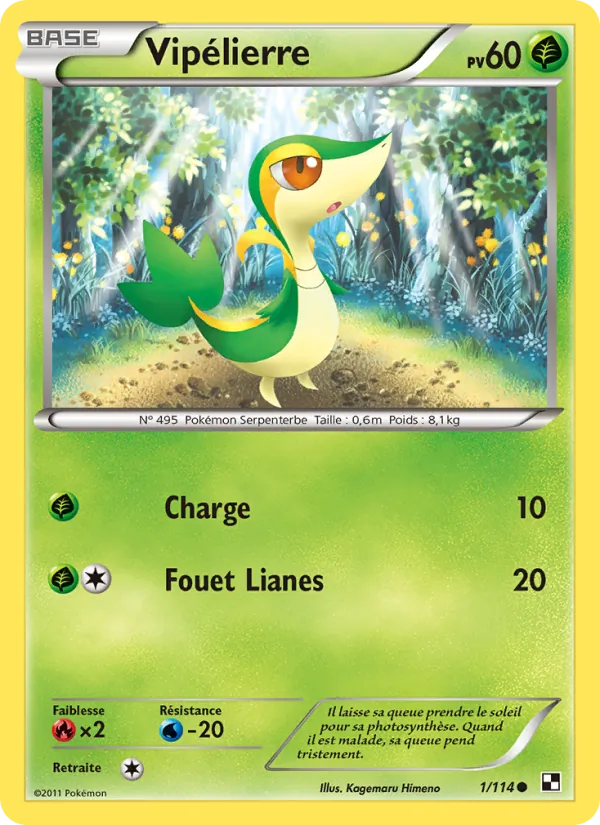 Carte Pokémon Vipélierre de l'extension Noir & Blanc