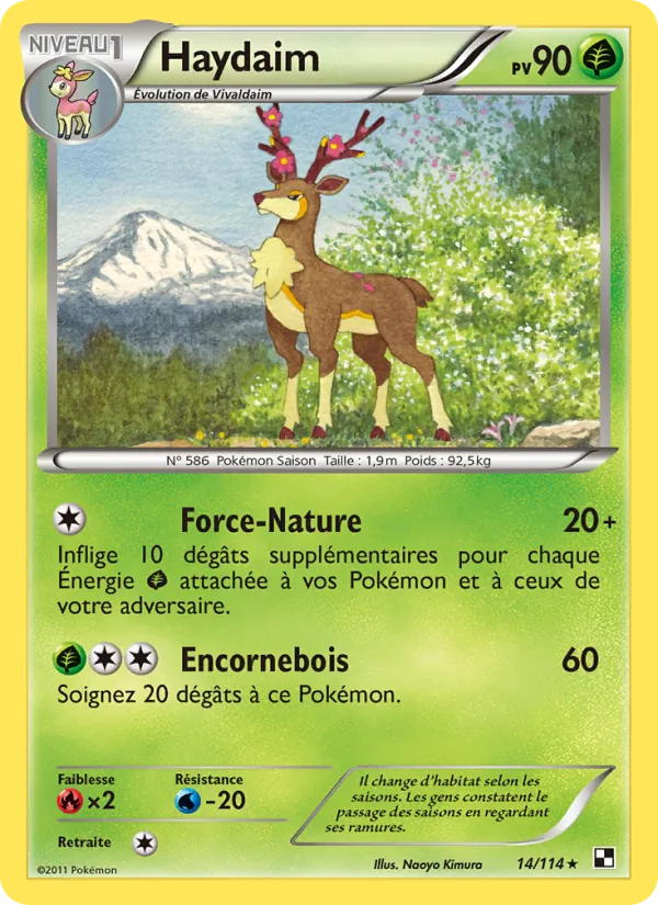 Carte Pokémon Haydaim de l'extension Noir & Blanc