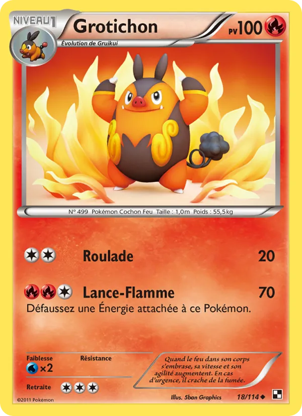 Carte Pokémon Grotichon de l'extension Noir & Blanc