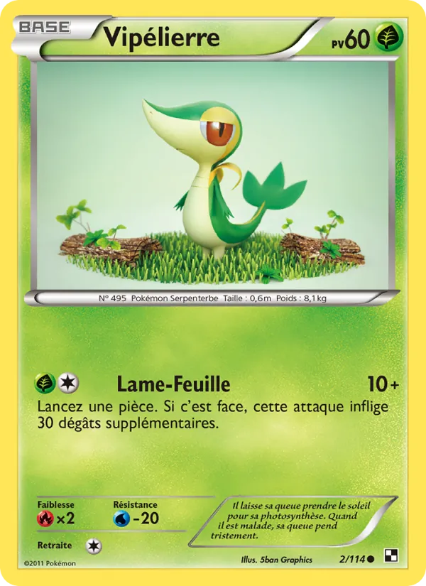 Carte Pokémon Vipélierre de l'extension Noir & Blanc