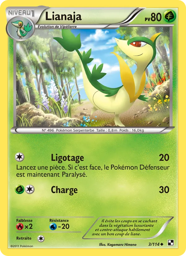 Carte Pokémon Lianaja de l'extension Noir & Blanc