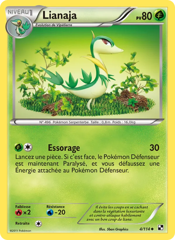 Carte Pokémon Lianaja de l'extension Noir & Blanc
