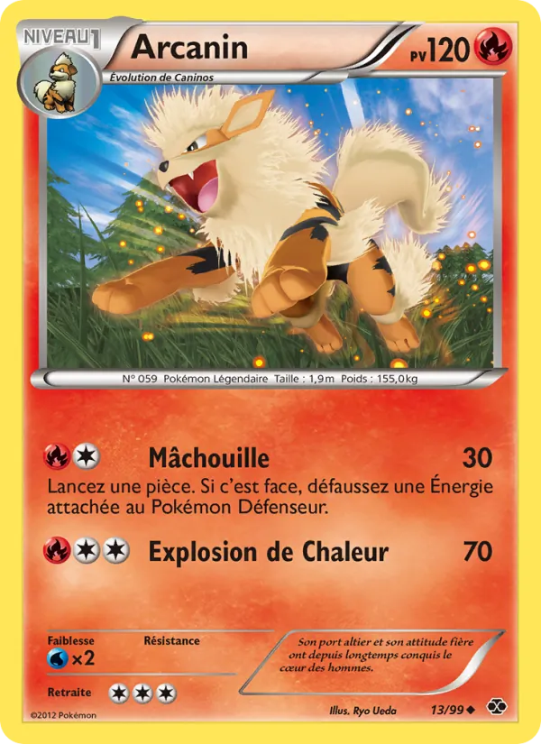 Carte Pokémon Arcanin de l'extension Destinées Futures
