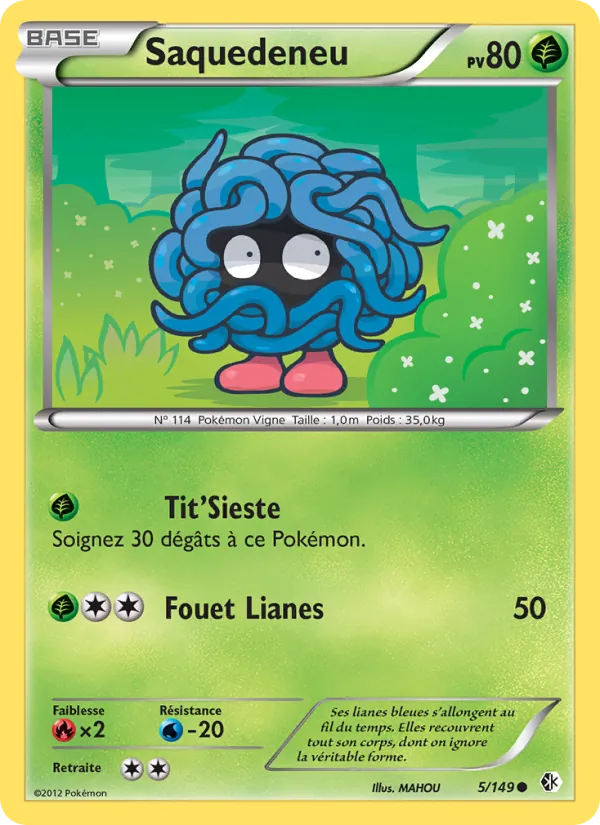 Carte Pokémon Saquedeneu de l'extension Frontières Franchies