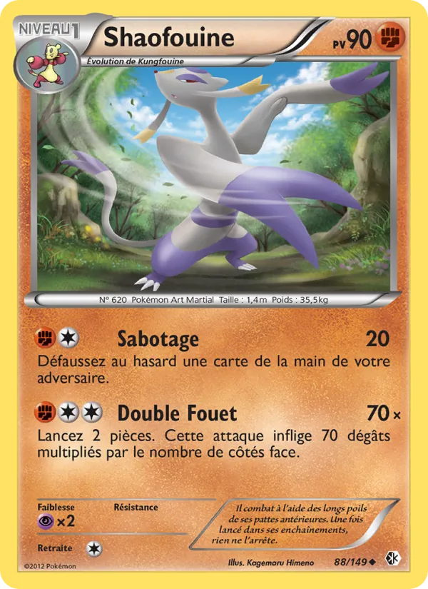 Carte Pokémon Shaofouine de l'extension Frontières Franchies