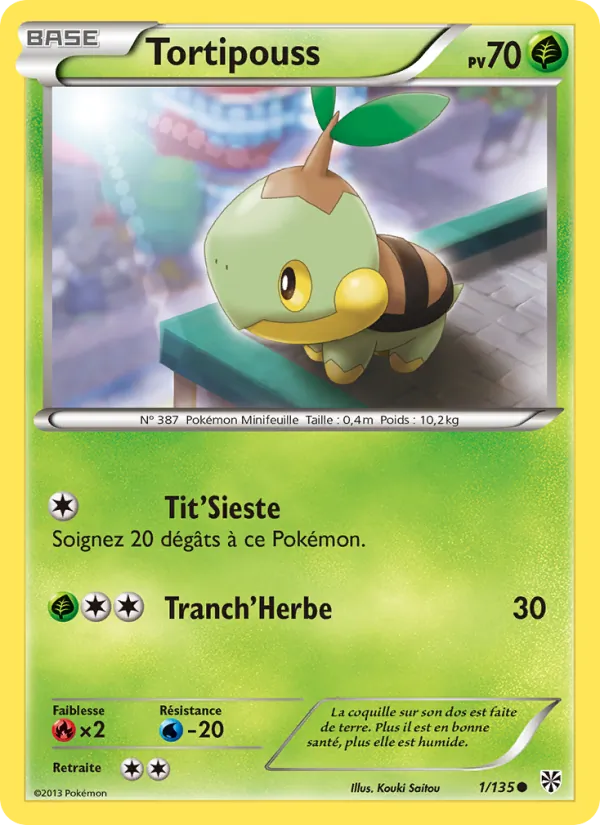 Carte Pokémon Tortipouss de l'extension Tempète Plasma