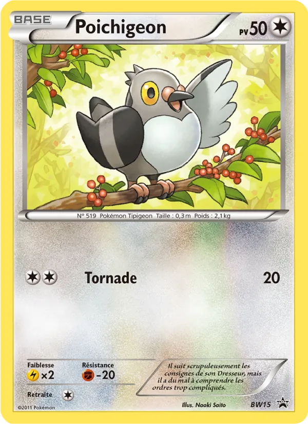 Carte Pokémon Poichigeon de l'extension Promo BW
