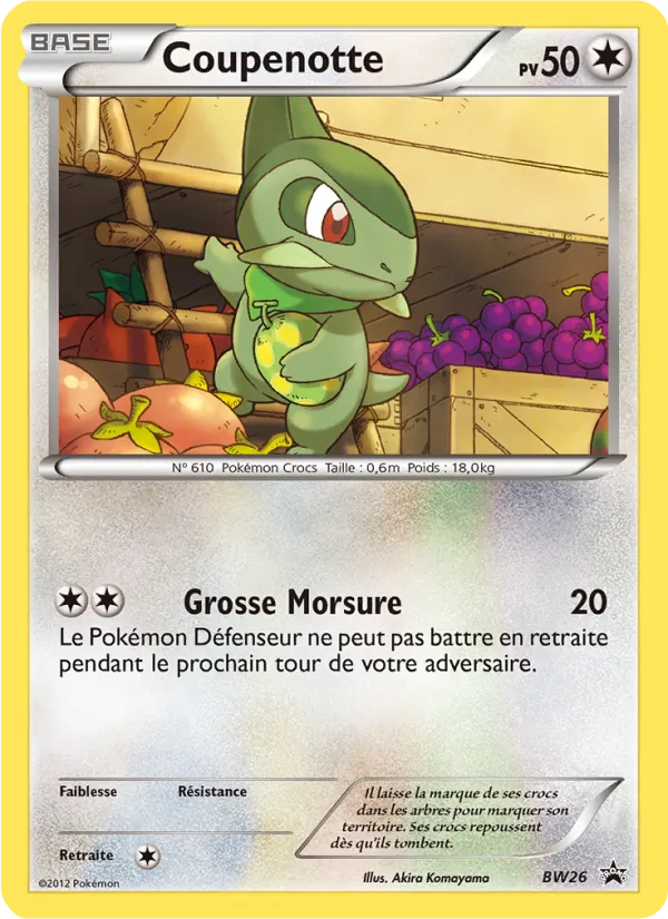 Carte Pokémon Coupenotte de l'extension Promo BW