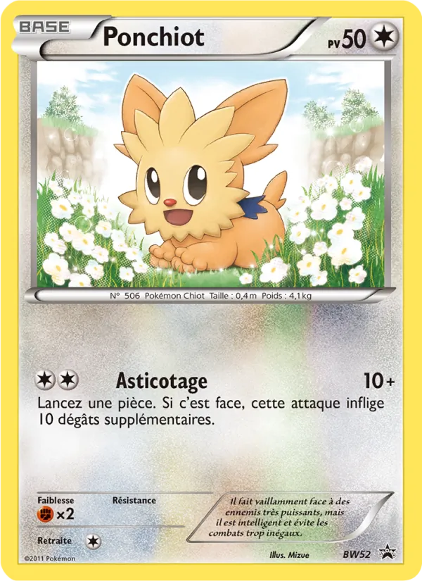 Carte Pokémon Ponchiot de l'extension Promo BW