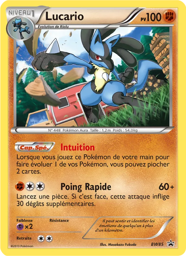 Carte Pokémon Lucario de l'extension Promo BW