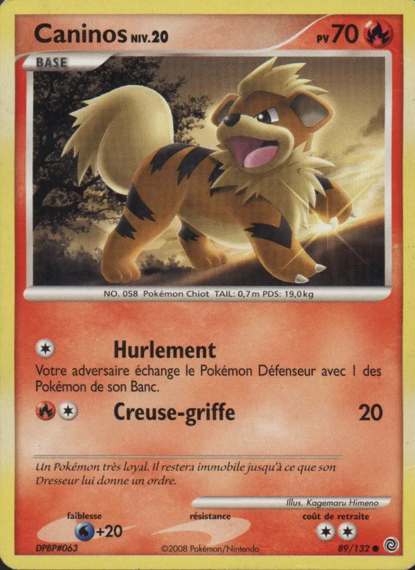 Carte Pokémon Caninos de l'extension Merveilles Secrètes