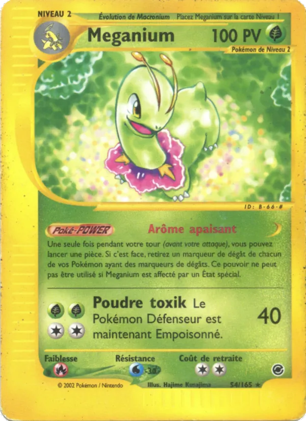 Carte Pokémon Méganium de l'extension Expedition