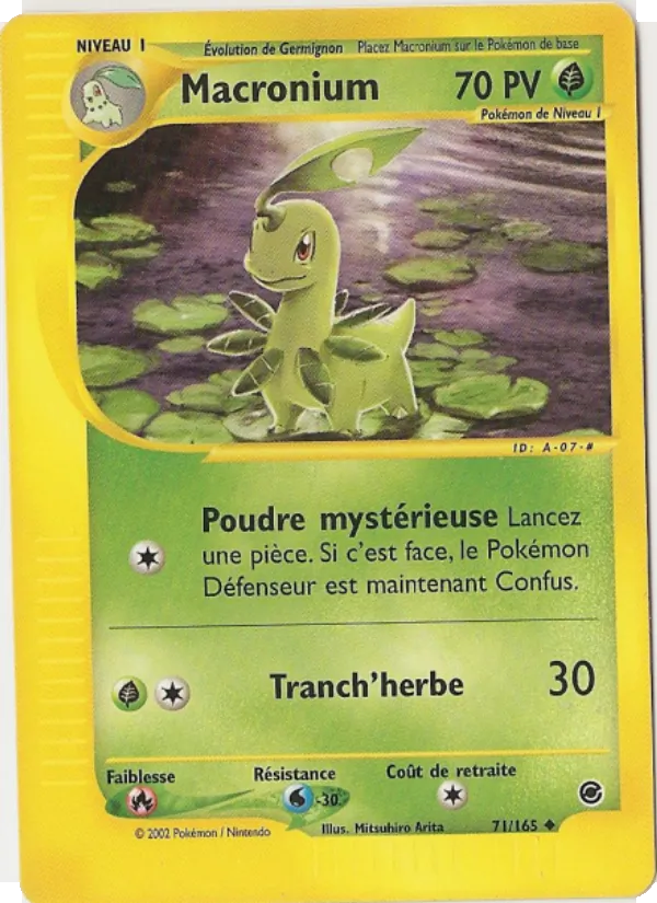 Carte Pokémon Macronium de l'extension Expedition