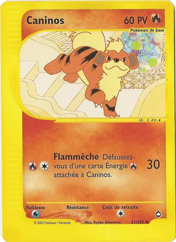Carte Pokémon Caninos de l'extension Aquapolis