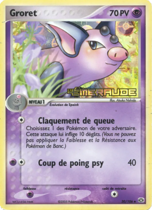 Carte Pokémon Groret de l'extension EX Émeraude