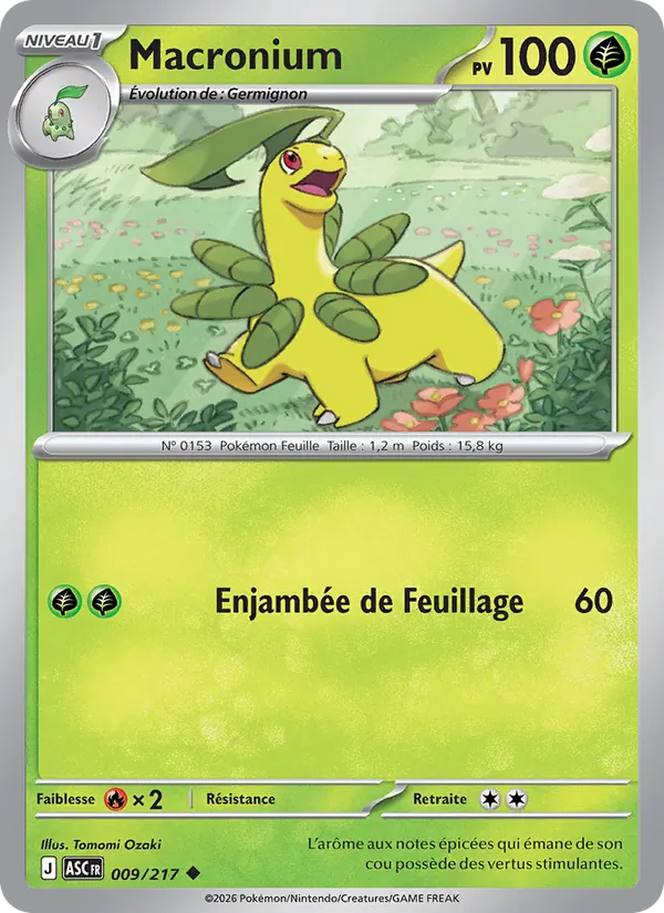 Carte Pokémon Macronium de l'extension Héros Transcendants