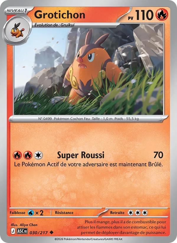 Carte Pokémon Grotichon de l'extension Héros Transcendants