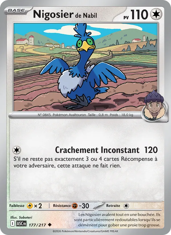 Carte Pokémon Nigosier de Nabil de l'extension Héros Transcendants