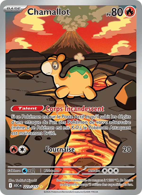 Carte Pokémon Chamallot de l'extension Héros Transcendants