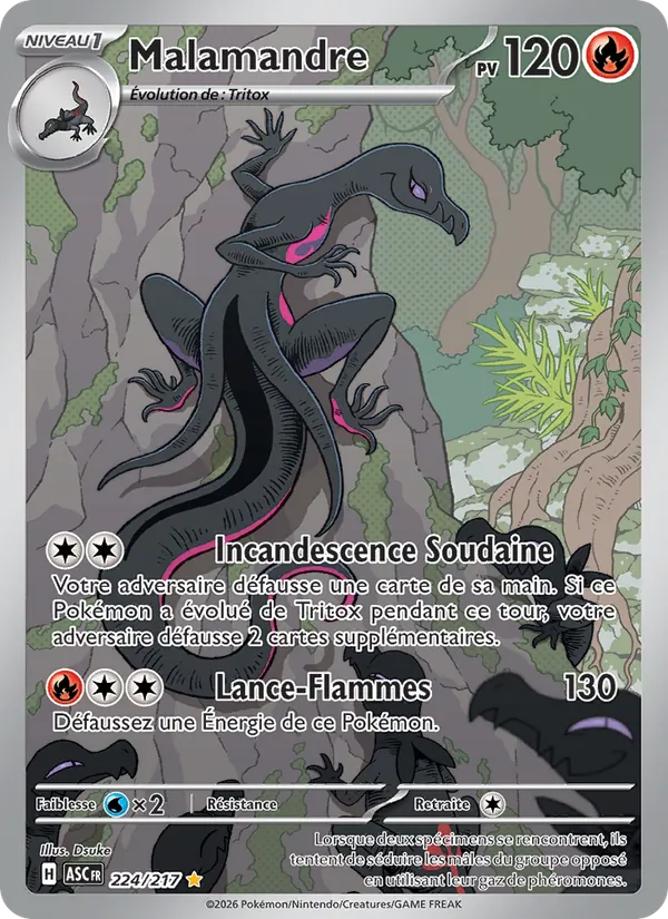 Carte Pokémon Malamandre de l'extension Héros Transcendants