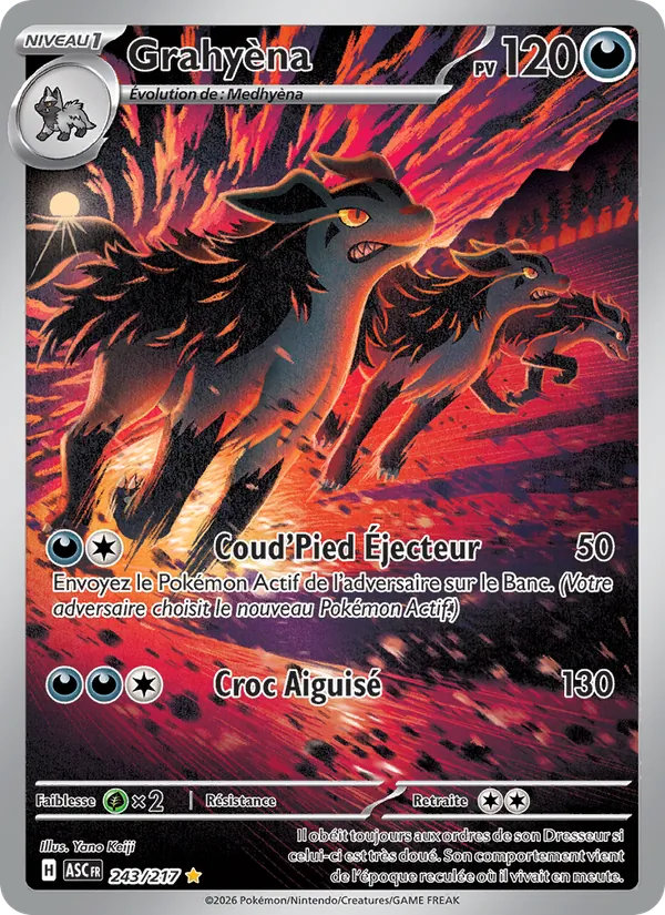 Carte Pokémon Grahyèna de l'extension Héros Transcendants