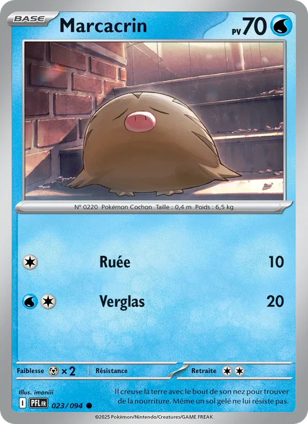 Carte Pokémon Marcacrin de l'extension Flammes Fantasmagoriques