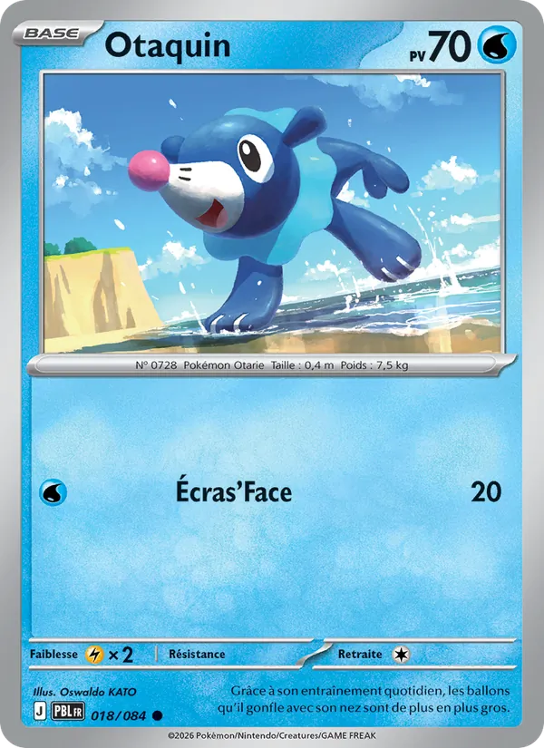 Carte Pokémon Otaquin de l'extension Nuit Noire