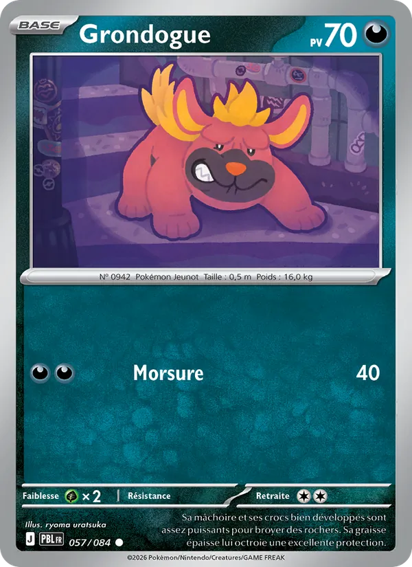Carte Pokémon Grondogue de l'extension Nuit Noire