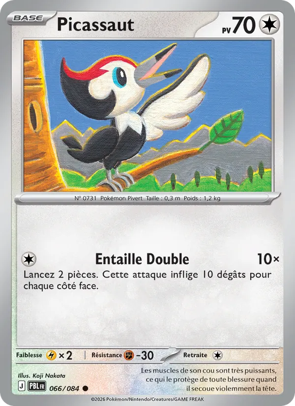 Carte Pokémon Picassaut de l'extension Nuit Noire