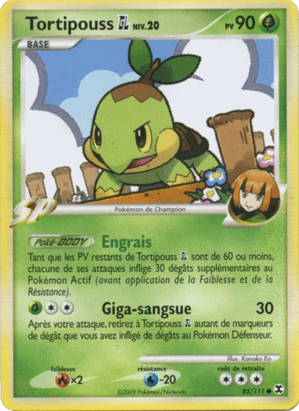 Carte Pokémon Tortipouss GL Niv. 20 de l'extension Rivaux Émergeants