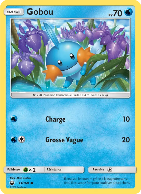 Carte Pokémon Gobou de l'extension Tempête Céleste