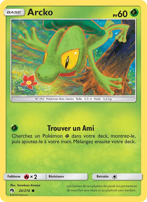 Carte Pokémon Arcko de l'extension Tonnerre Perdu