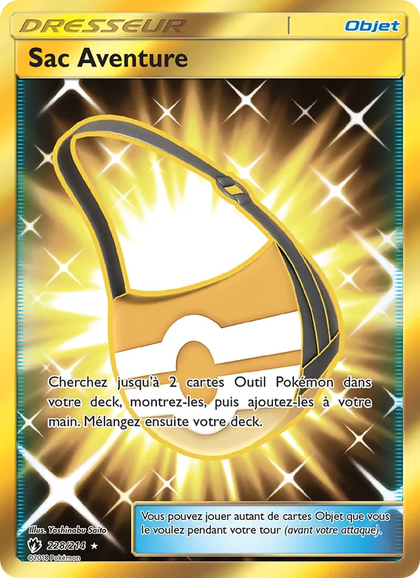Carte Pokémon Sac Aventure de l'extension Tonnerre Perdu