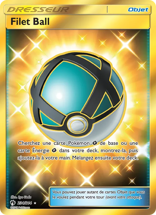Carte Pokémon Filet Ball de l'extension Tonnerre Perdu