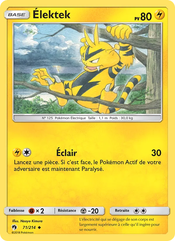 Carte Pokémon Élektek de l'extension Tonnerre Perdu