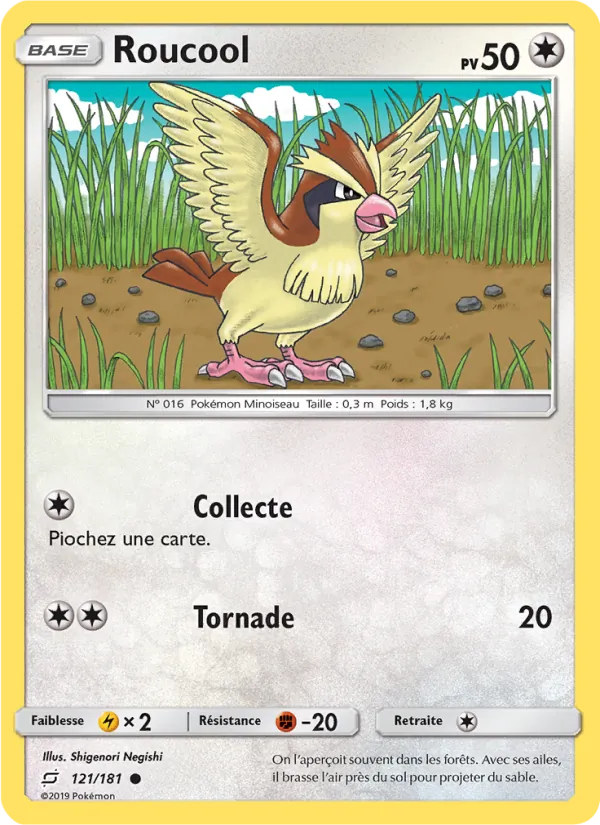 Carte Pokémon Roucool de l'extension Duo de Choc