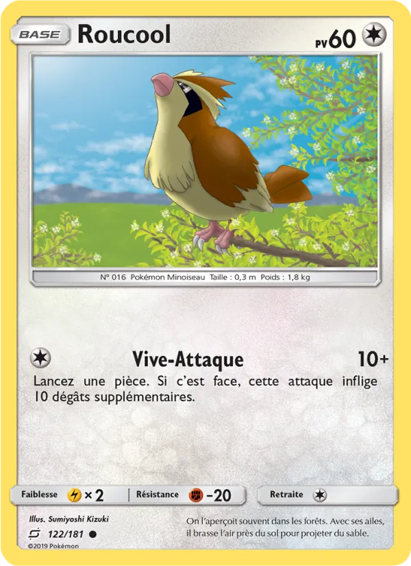 Carte Pokémon Roucool de l'extension Duo de Choc