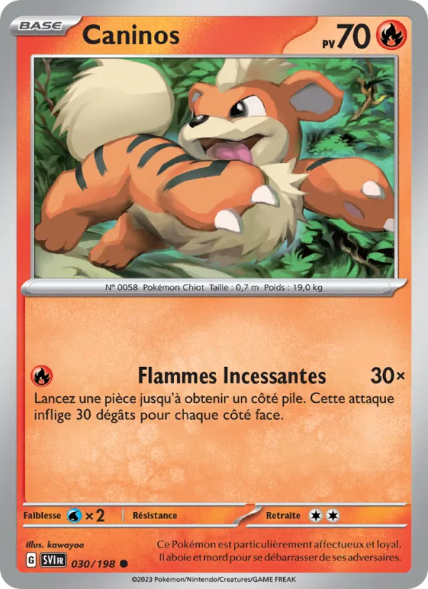 Carte Pokémon Caninos de l'extension Écarlate et Violet