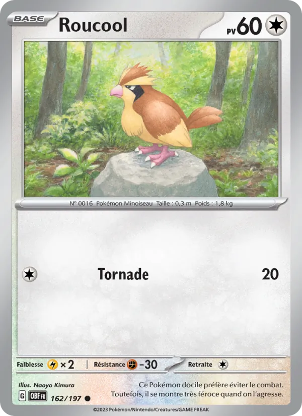 Carte Pokémon Roucool de l'extension Flammes Obsidiennes