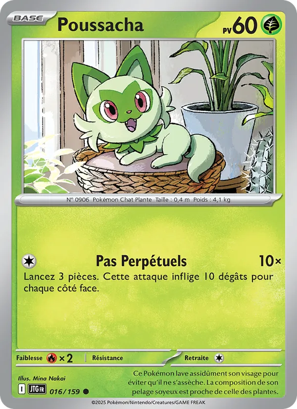 Carte Pokémon Poussacha de l'extension Aventures Ensemble
