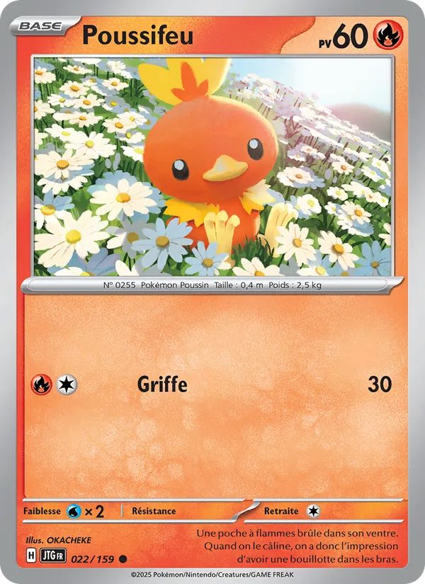 Carte Pokémon Poussifeu de l'extension Aventures Ensemble