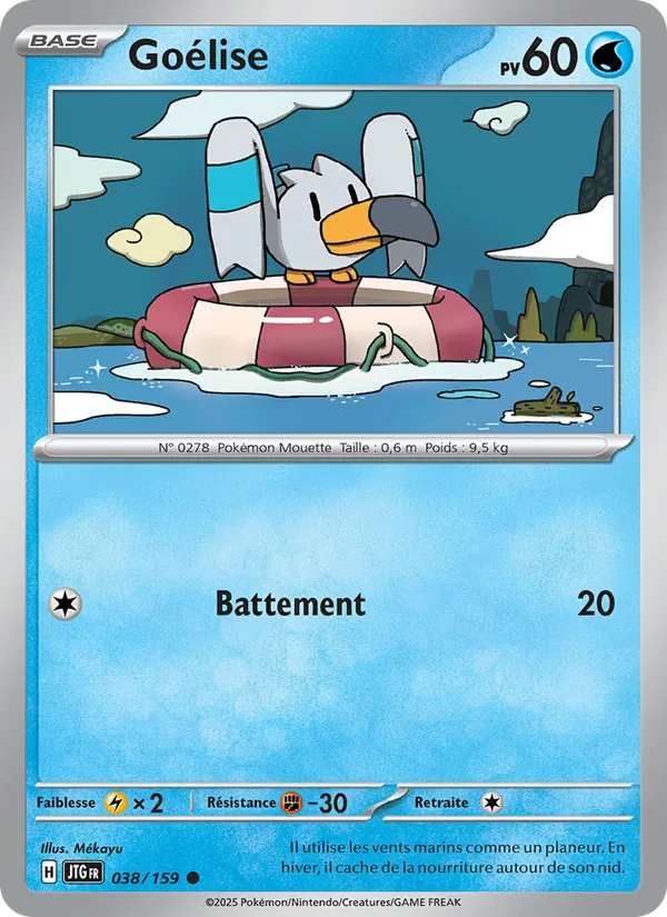 Carte Pokémon Goélise de l'extension Aventures Ensemble