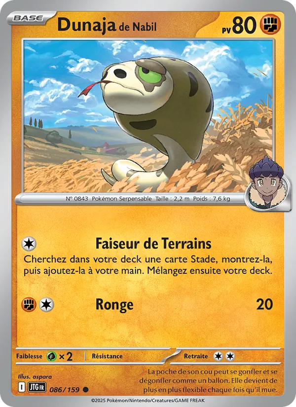 Carte Pokémon Dunaja de Nabil de l'extension Aventures Ensemble