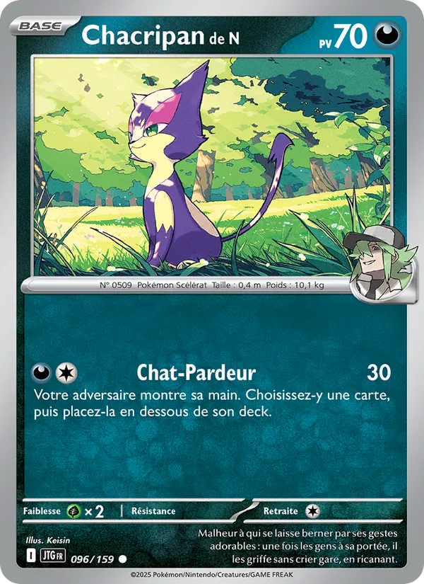 Carte Pokémon Chacripan de N de l'extension Aventures Ensemble