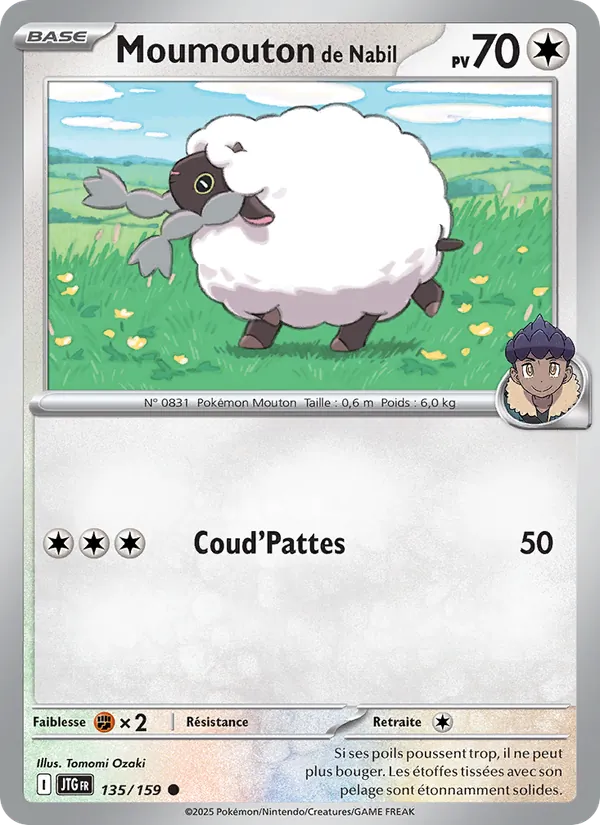 Carte Pokémon Moumouton de Nabil de l'extension Aventures Ensemble