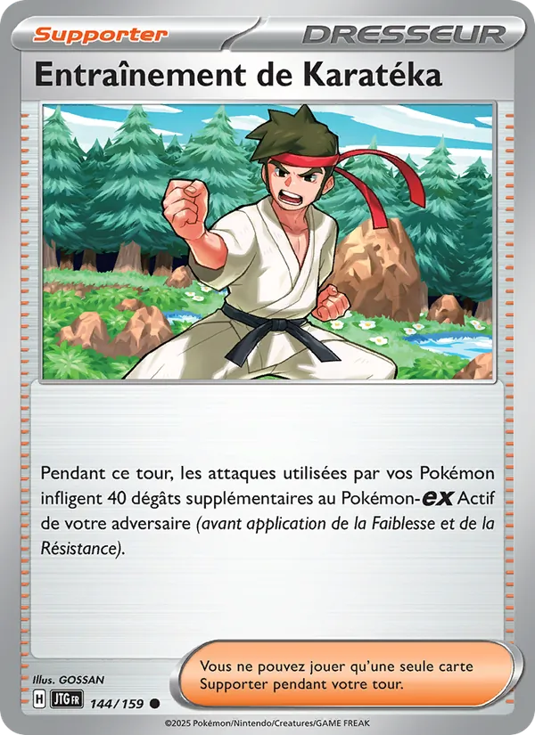Carte Pokémon Entraînement de Karatéka de l'extension Aventures Ensemble