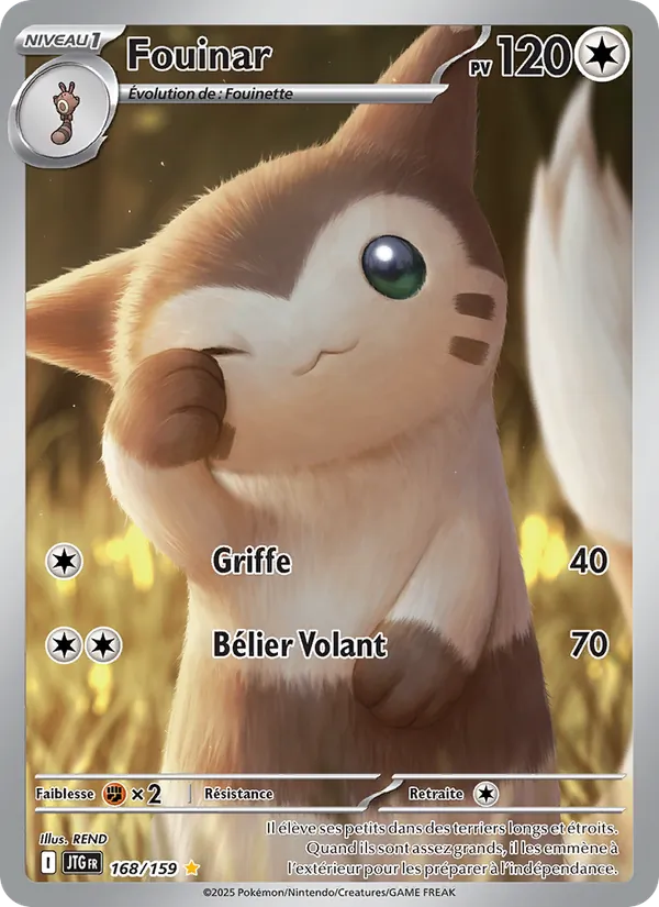 Carte Pokémon Fouinar de l'extension Aventures Ensemble