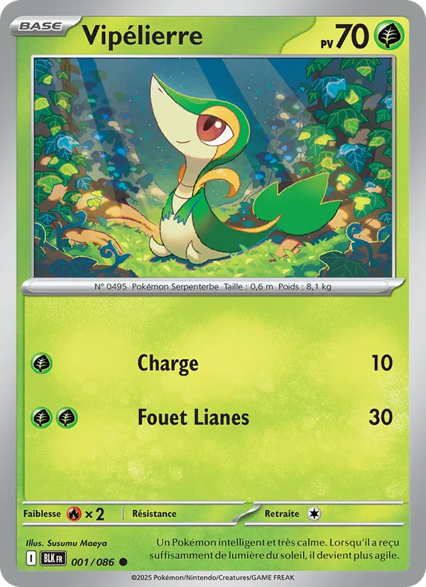Carte Pokémon Vipélierre de l'extension Foudre Noire