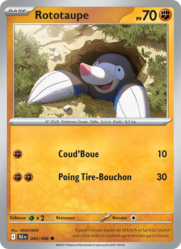 Carte Pokémon Rototaupe de l'extension Foudre Noire