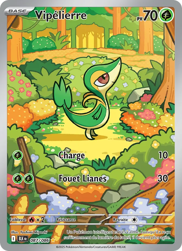 Carte Pokémon Vipélierre de l'extension Foudre Noire